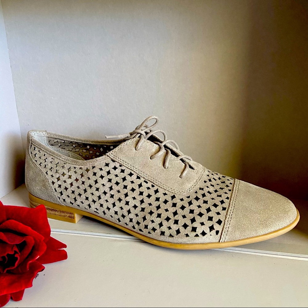 FRANCO SARTO | Tia Suede Laser cut Oxfords